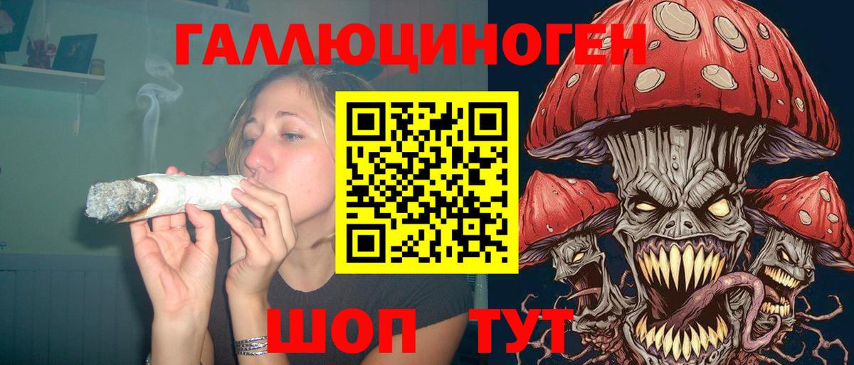 Галлюциногенные грибы Psilocybine cubensis  Вход с VPN  Вязники 